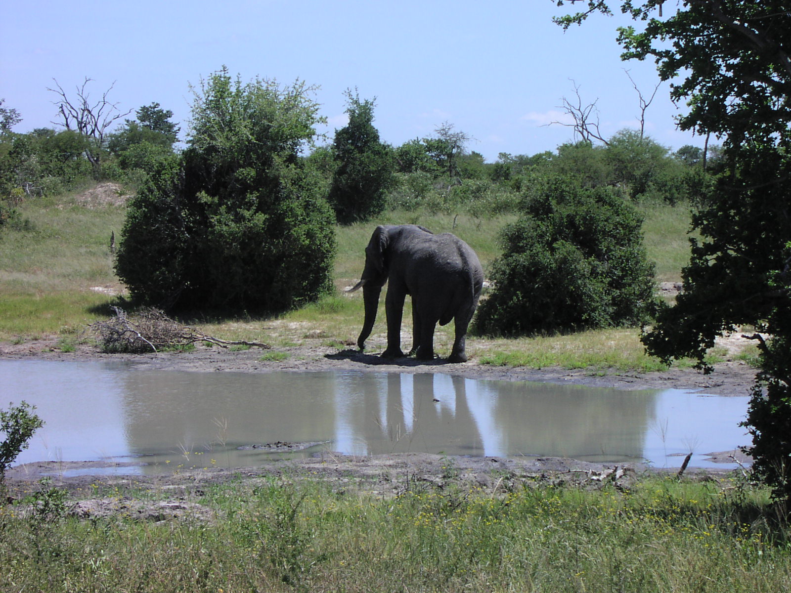 Afrika 008.jpg