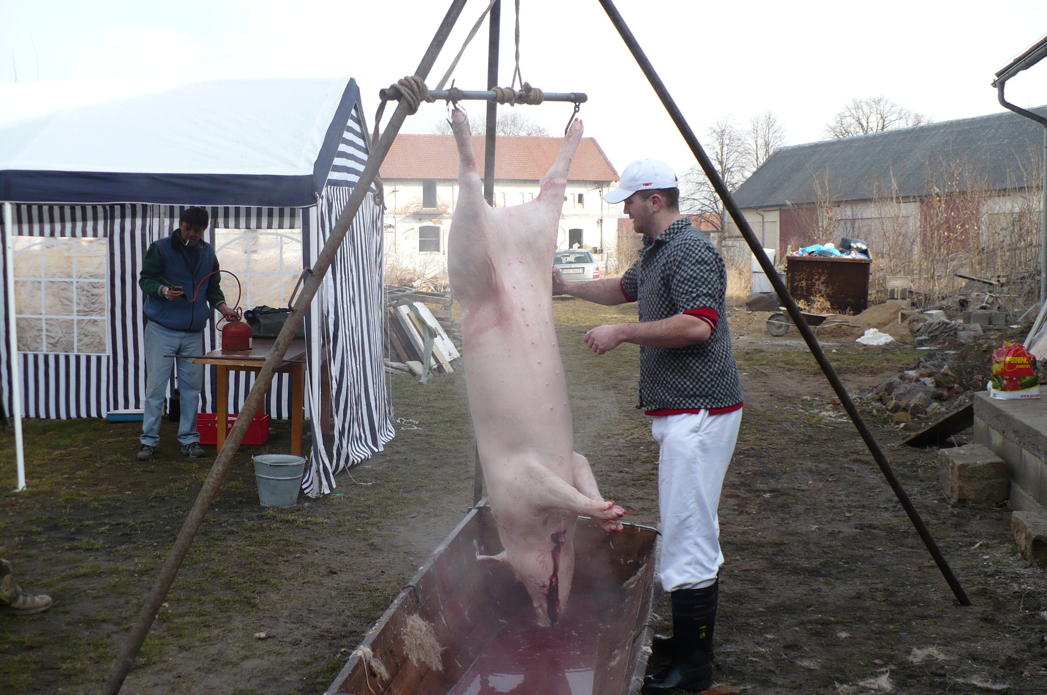 Zabijačka 2010 017.jpg